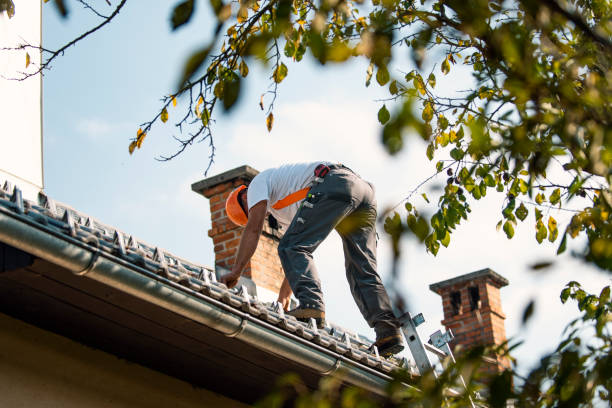 Best Slate Roofing Contractor  in Barrington, IL