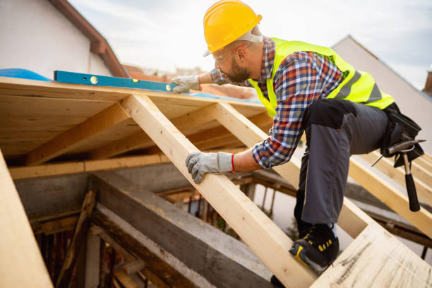 Best Roof Gutter Cleaning  in Barrington, IL